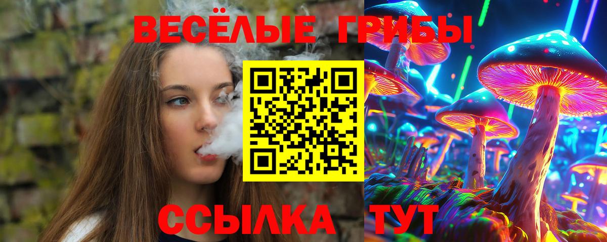 Псилоцибиновые грибы GOLDEN TEACHER Богданович