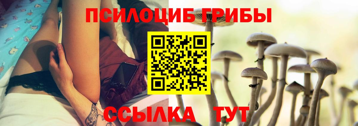 купить   Вход с VPN  Богданович  Галлюциногенные грибы Magic Shrooms  Псилоцибиновые грибы GOLDEN TEACHER 